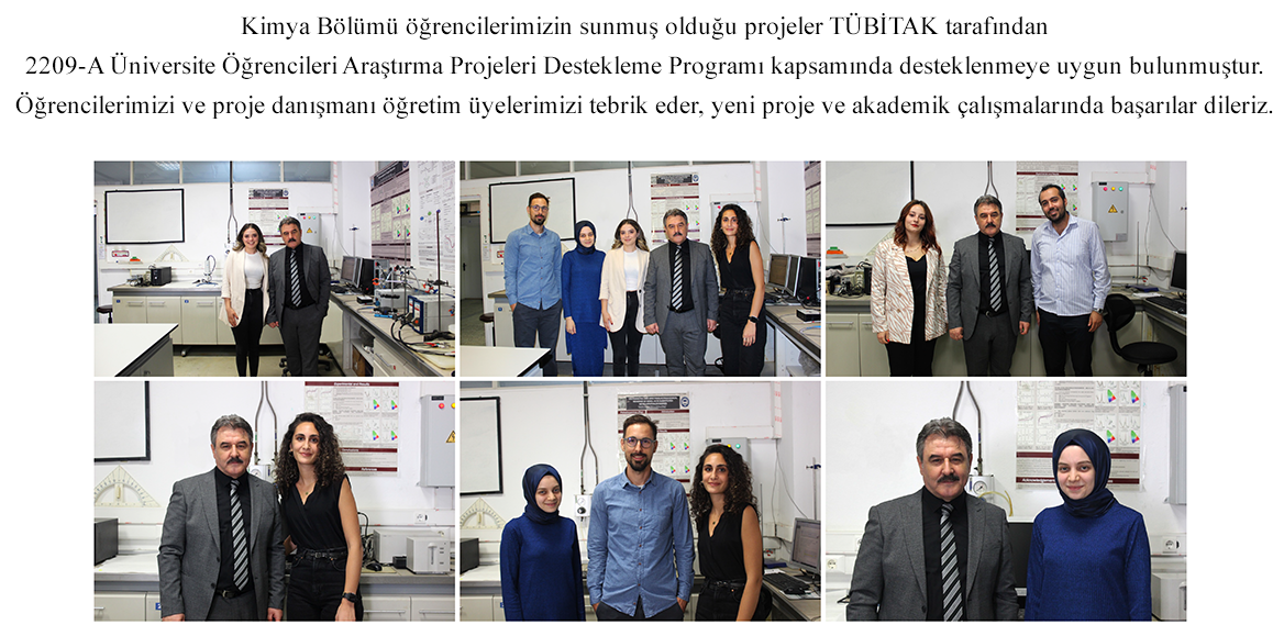 TÜBİTAK 2209-A Proje Başarısı